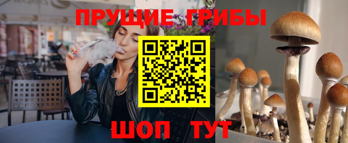 Галлюциногенные грибы мицелий Великий Новгород