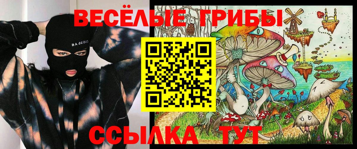 Великий Новгород  Псилоцибиновые грибы Psilocybine cubensis  Вход с VPN 